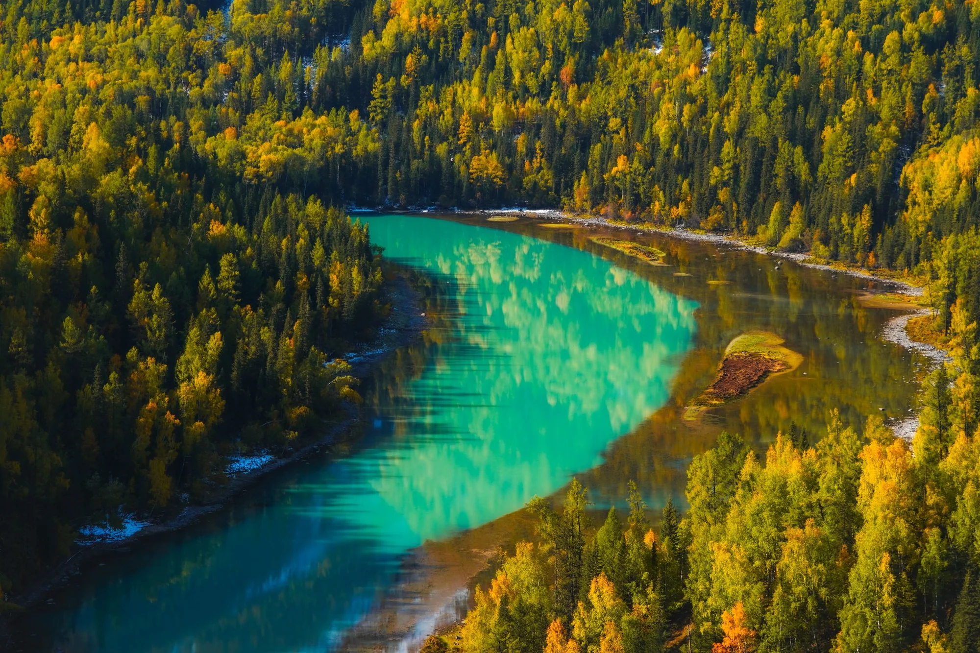 Golden larch and birch forest mirrored in an alpine lake at Kanas, Xinjiang