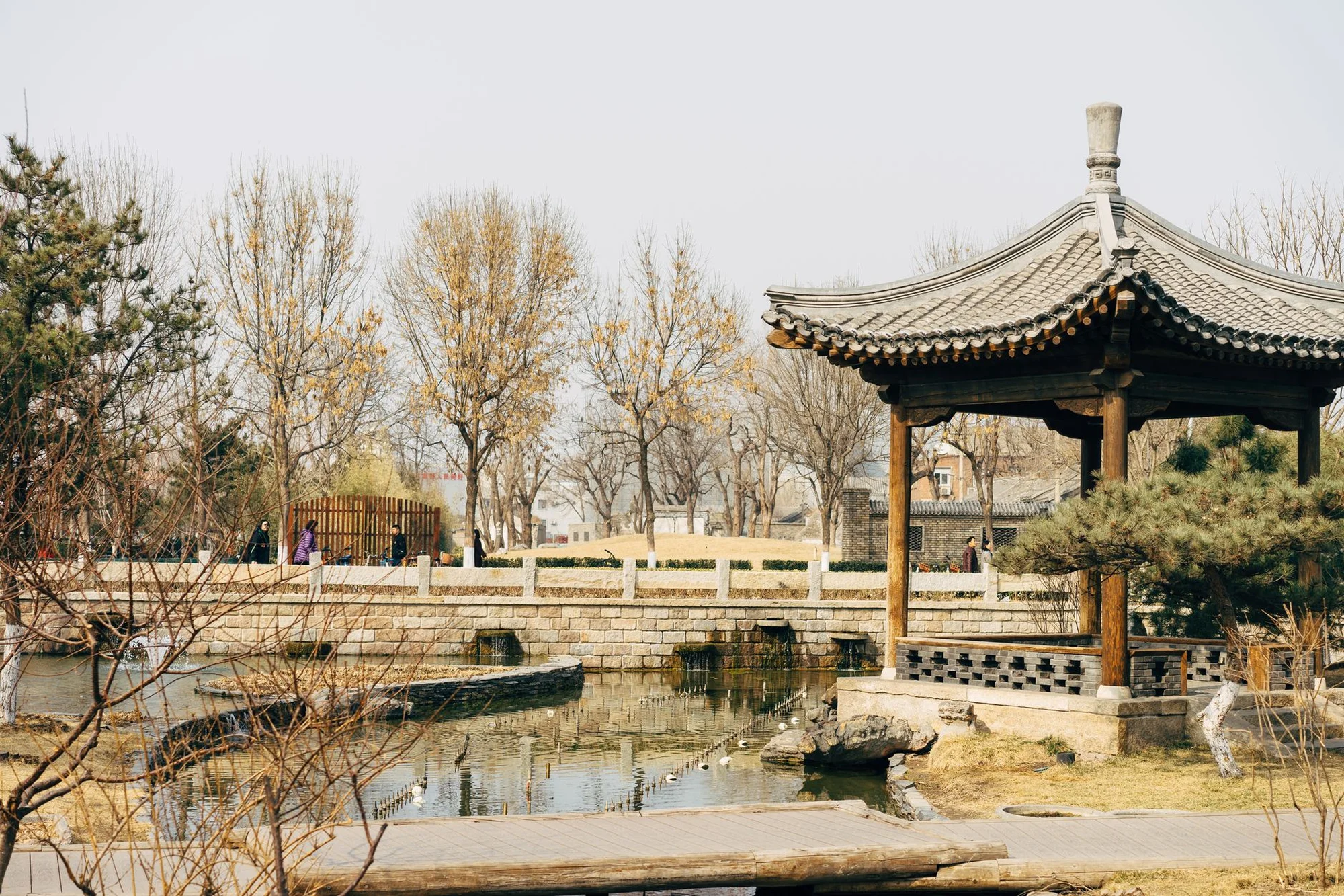 A Chinese park with a traditional pavilion, pond and trees
