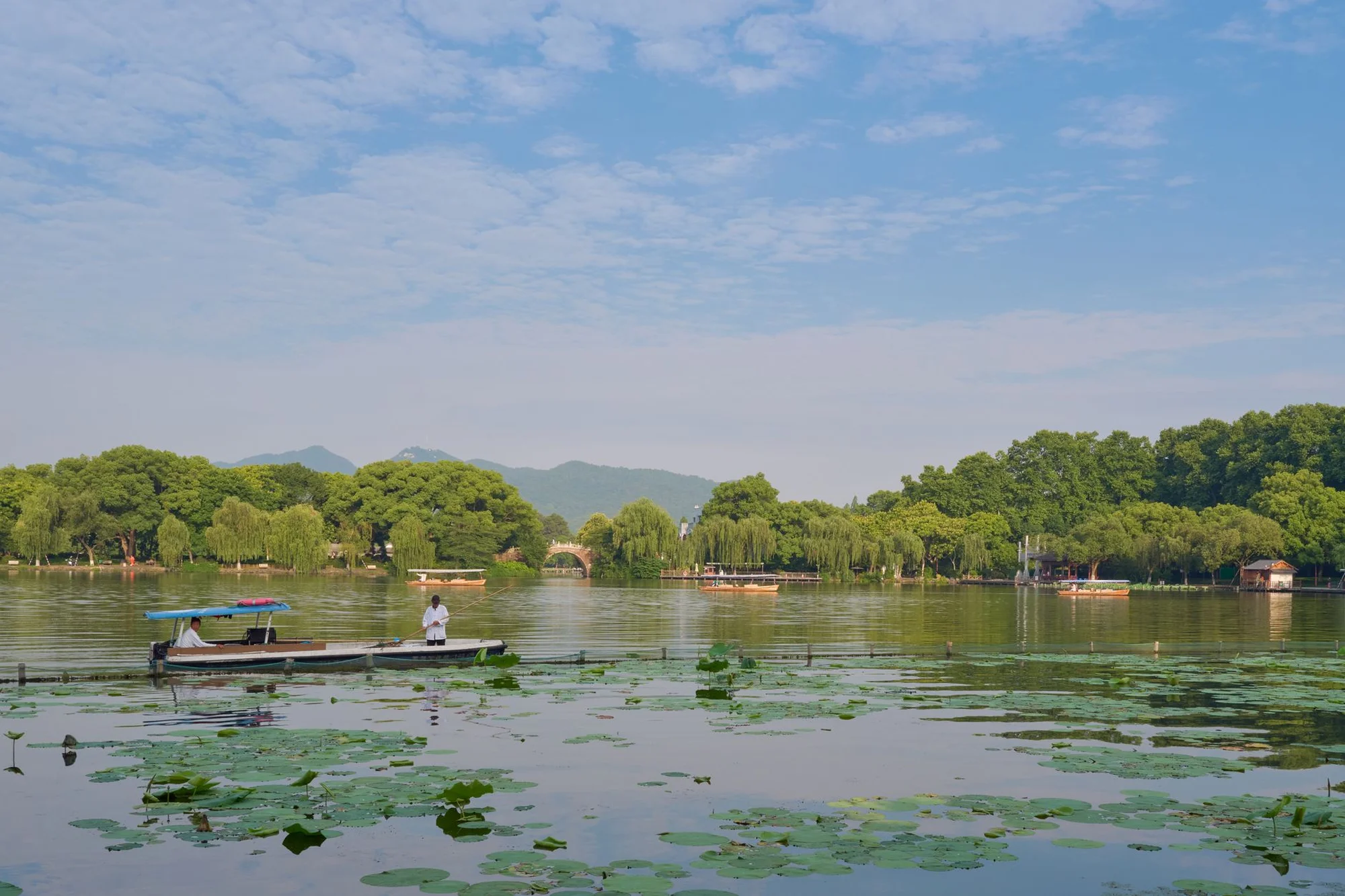 A calm view of West Lake in Hangzhou with willow trees and a stone bridge