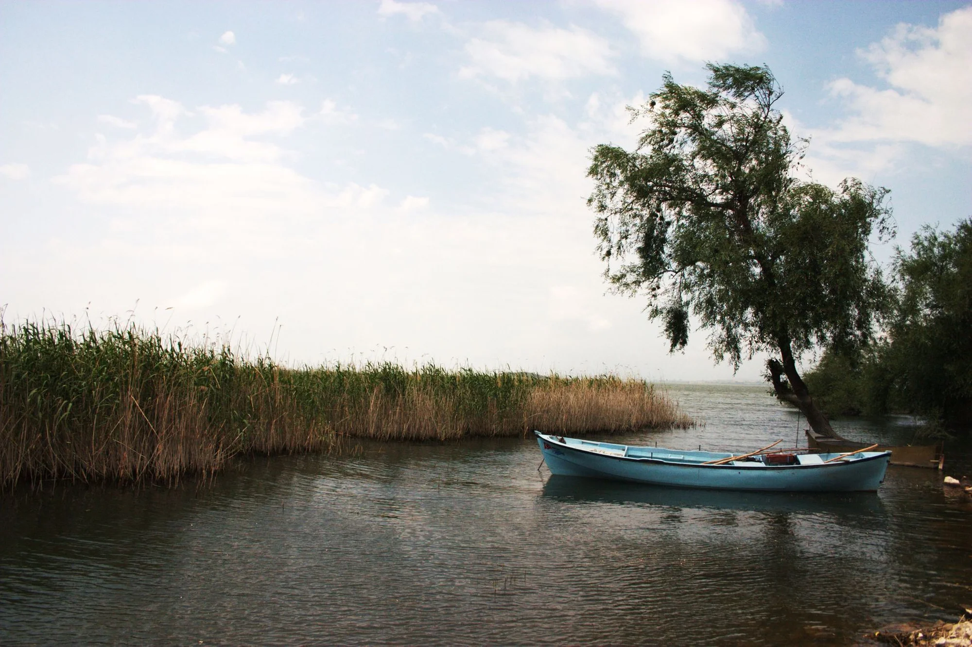A quiet river winding through Xixi Wetland's reed beds and waterways