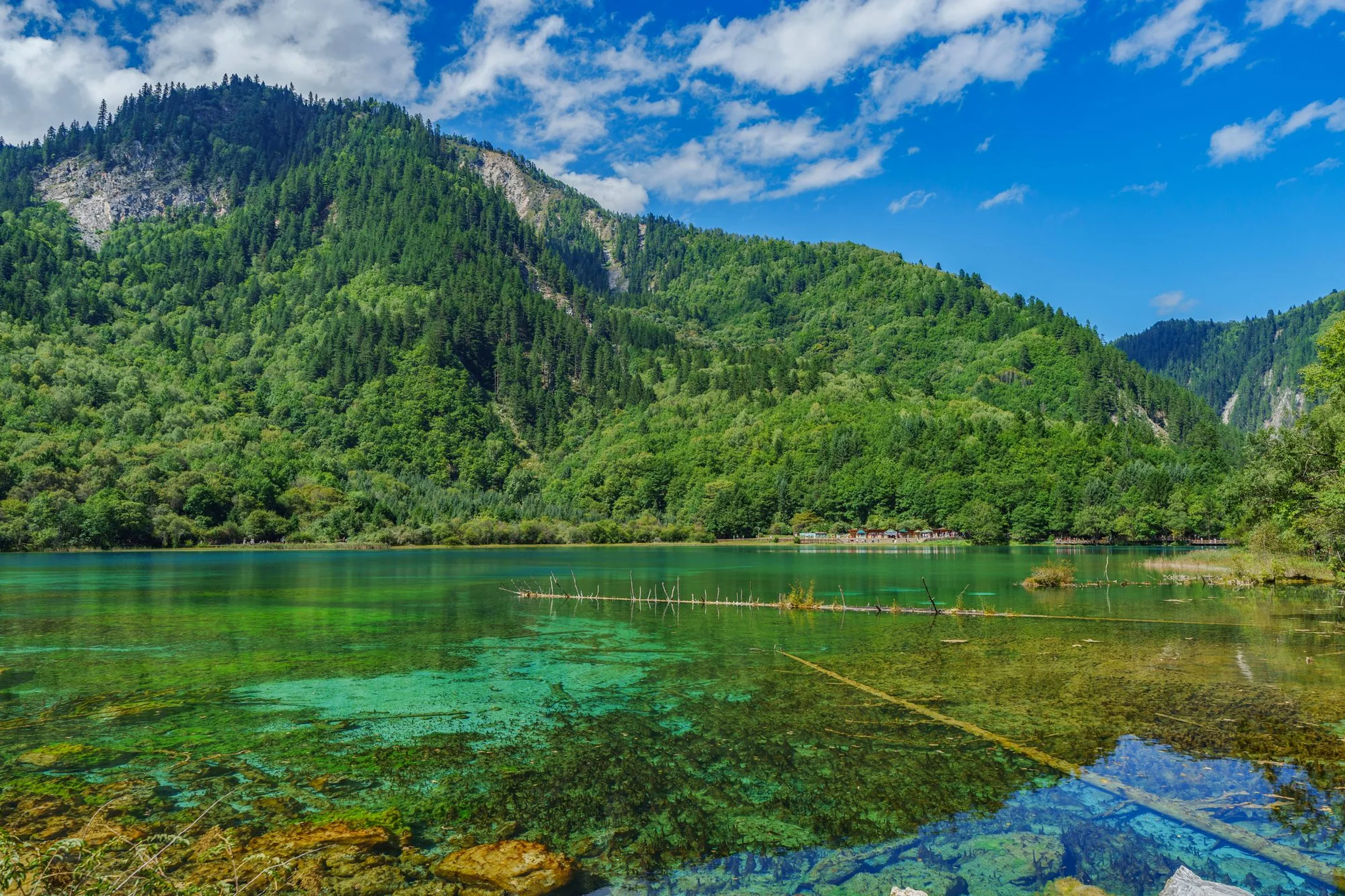 Jiuzhaigou Travel Guide 2026: Tickets, Route & Best Time