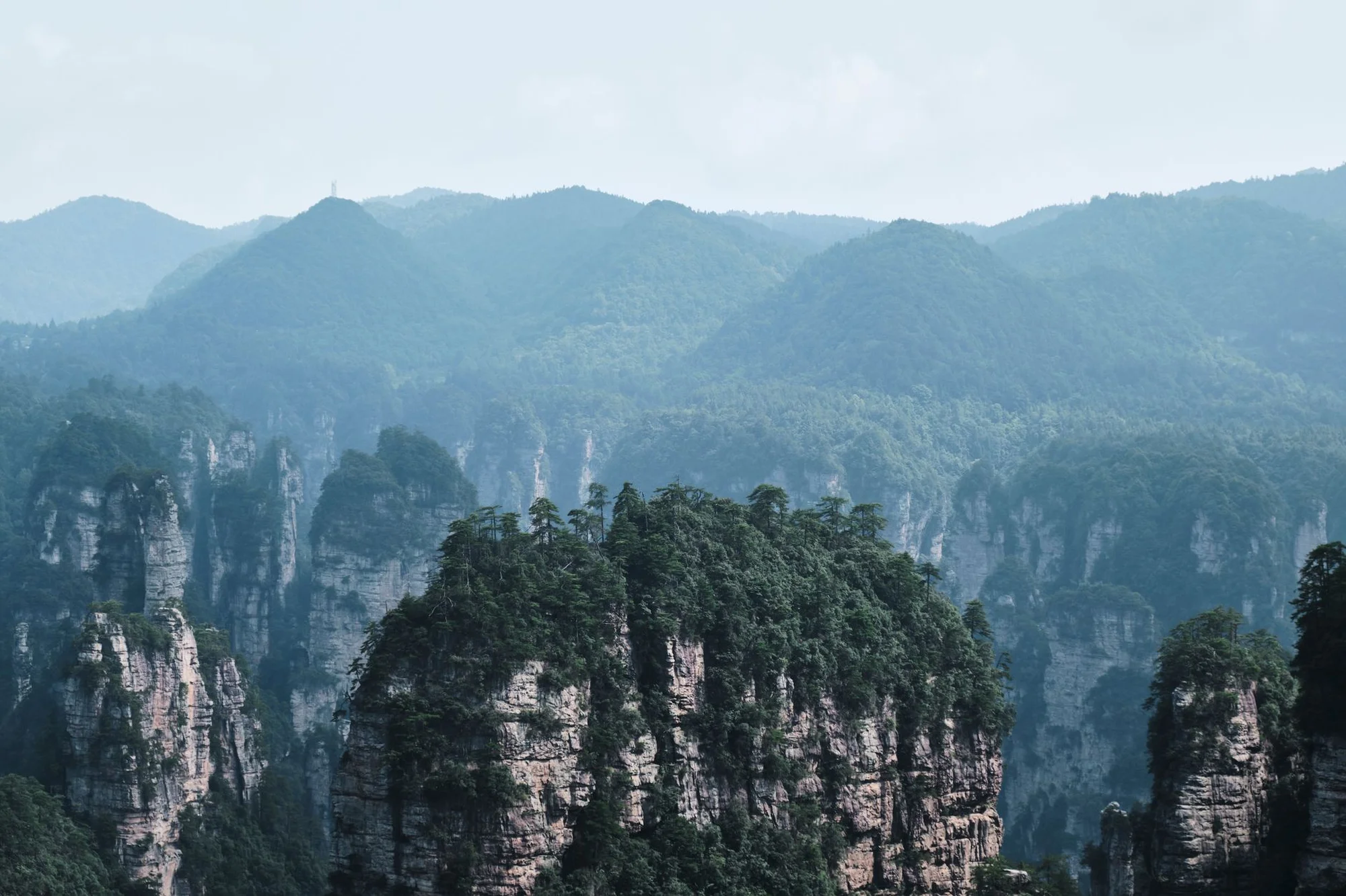 Sandstone pillar peaks of Zhangjiajie rising through morning mist