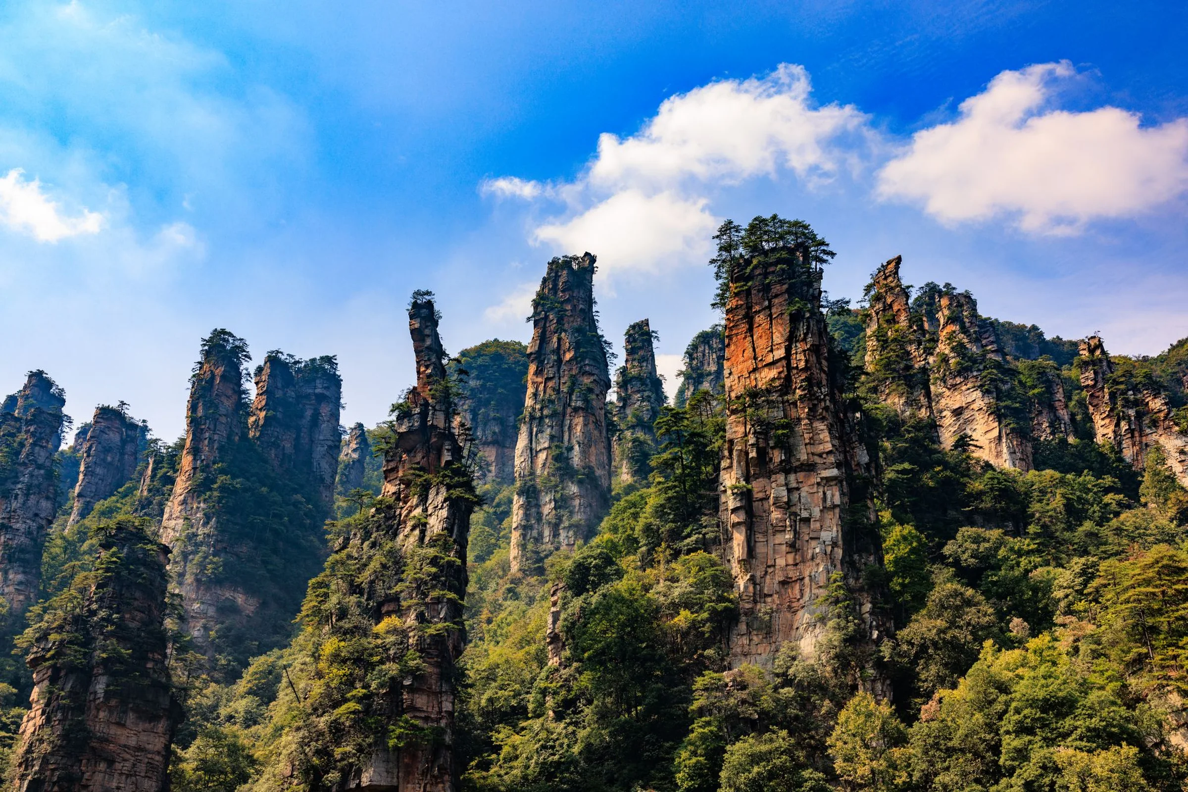 Zhangjiajie Park Gates 2026: Which Entrance & Avoid Queues