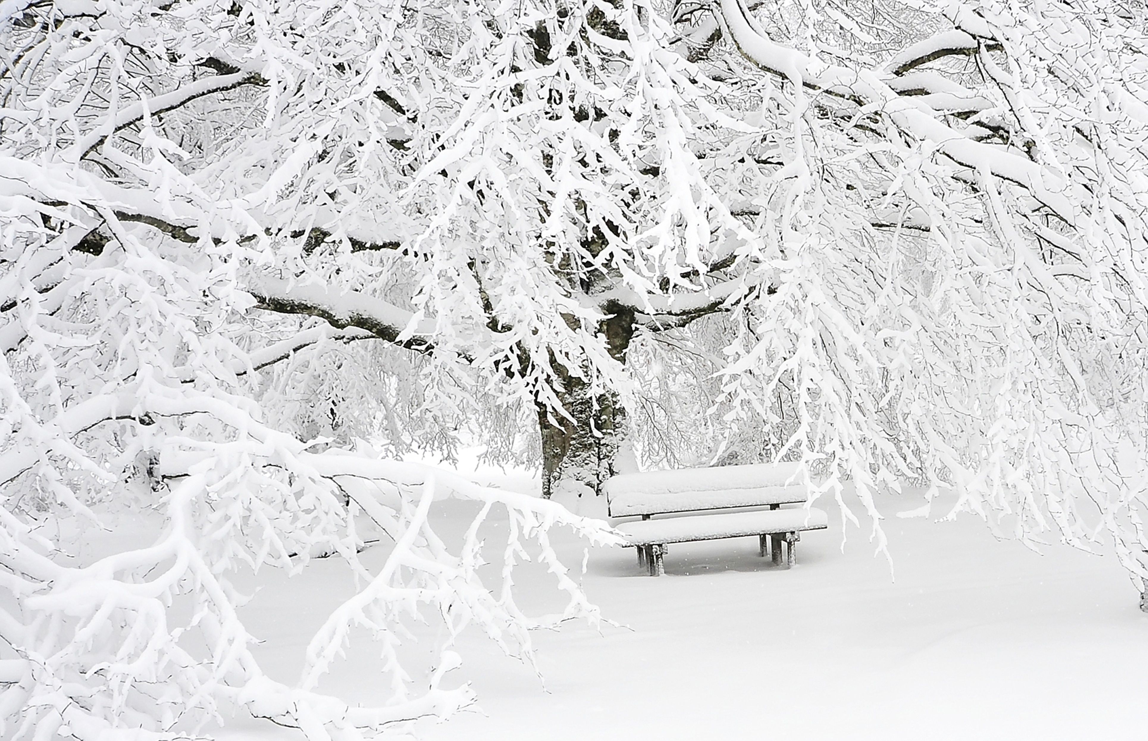 Jilin